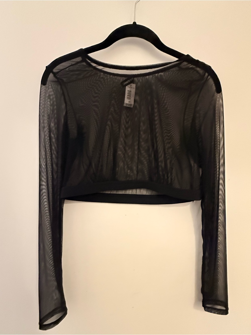 torrid Black Sheer Long Sleeve Cropped Top